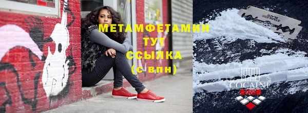 PSILOCYBIN Гатчина