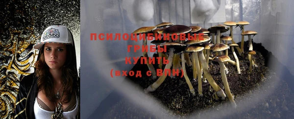 мдма Нефтекумск