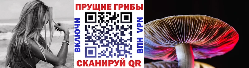 Галлюциногенные грибы MAGIC MUSHROOMS  нарко площадка формула  Исилькуль  MEGA маркетплейс 